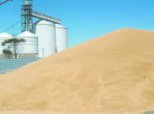 A CBH spokesperson said access would be at a select number of sites, which would vary depending on when the grain is required, the volume of grain needed and fumigation protocols.