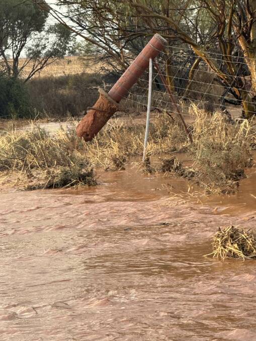 The water's current lifted away fence posts. Photo by Sandy Ventris.