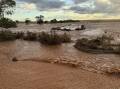 Calcalling Poll Merino Stud near Mukinbudin, being washed away after recieving 60mm in one hour. Photo by Sandy Ventris.