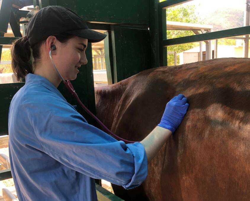 Ella Titmus received a DemoDAIRY Foundation tertiary scholarship to assist her veterinary science study at James Cook Townsville in 2022. Picture supplied.