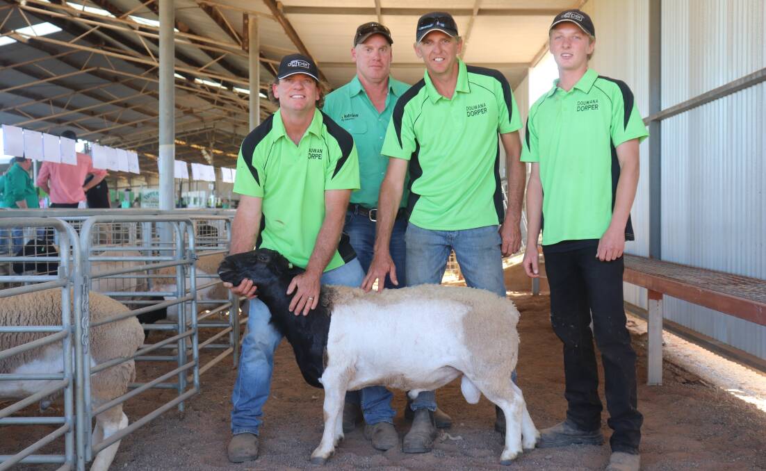 Douwana stud principals Jason Batten (left), Kim and Denver Batten and Nutrien Livestock representative Murray Paterson (second left) with the one of the $2900 equal top-price Dorper rams at last week's Chapman Valley ram sale bought by Naomi and Aiden Obst, Kilkerran Agriculture Pty Ltd, Mingenew.