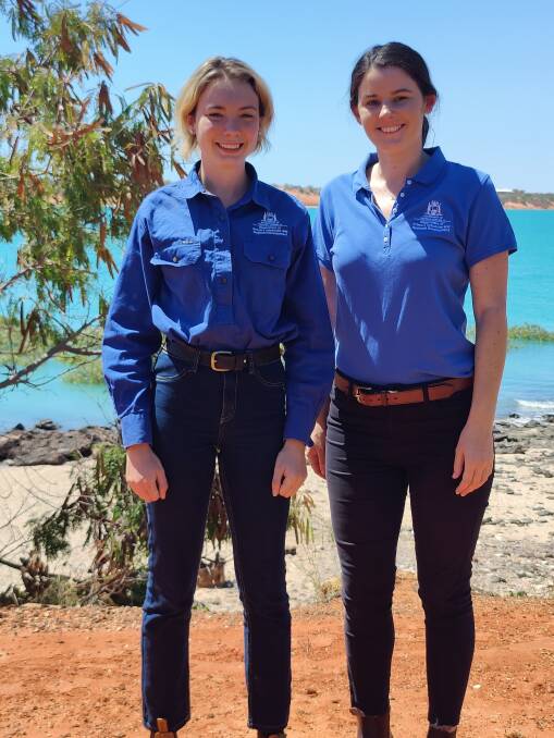 DPIRD Northern Beef Development project development officers Rach Darwin (left) and Leah Sackville, as well as Claire Atkins (not pictured) are working with the northern rangelands cattle industry to build productivity and profitability.