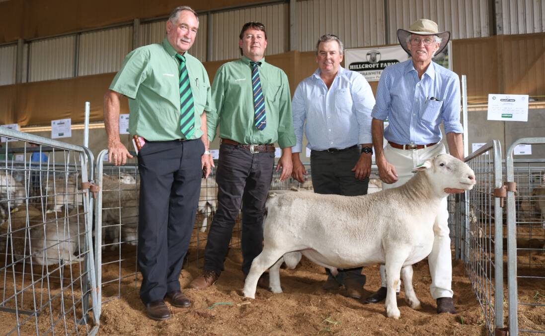 With the $7000 sale top-priced ram at Hillcroft Farms UltraWhite stud last week were Landmark auctioneer Steve Wright (left), Landmark Breeding representative Roy Addis who made the successful bid on behalf of a New South Wales-based buyer, with Dawson Bradford and Dawson Bradford, Hillcroft Farms, Popanyinning.