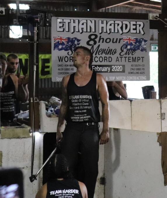 Ethan Harder looks to his team for an indication of his tally after his eight hours of shearing is up.