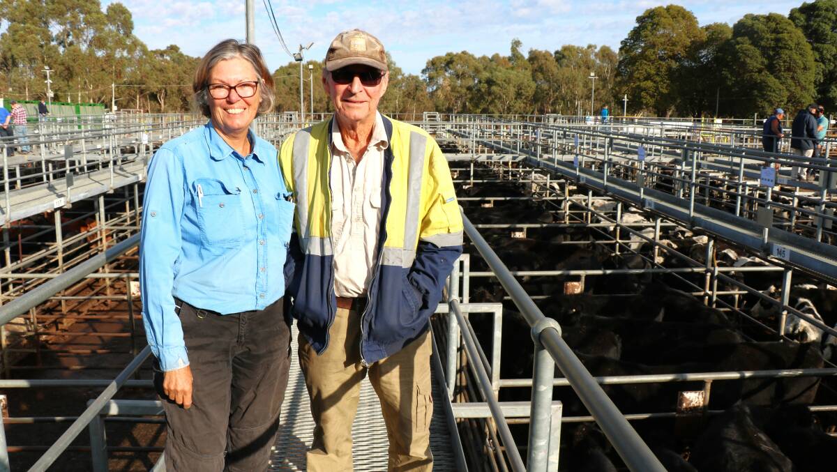 Robyn and Ray Robertson, Forrest Beach, were at the sale hoping to buy some cattle. They went home with a couple of pens of lightweight beef steers, costing up to $638.