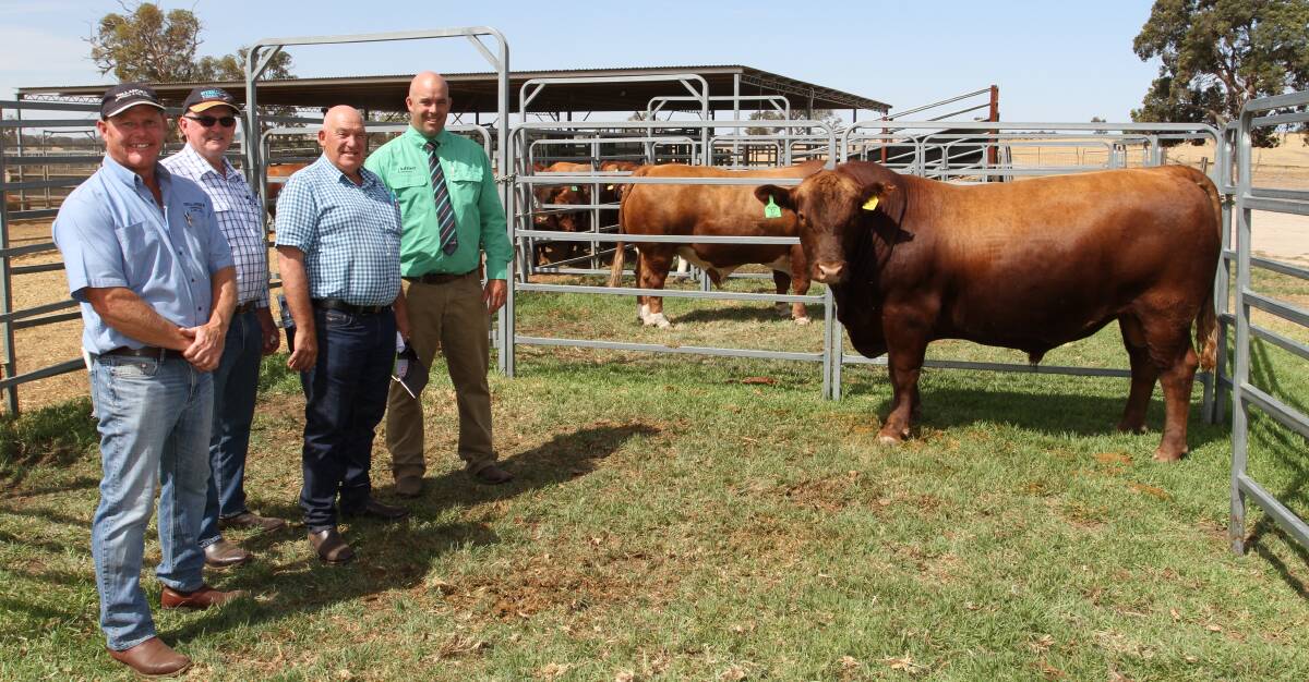 Willandra stud co-principal Peter Cowcher (left), Williams, Kevin Higgins, Hedley Range Red Angus stud, Binginwarri, Victoria, buyer Bob Boot, Boothill Red Angus stud, Drouin South, Victoria and Landmark Williams agent Ben Kealy with Willandra Paraquay P52, the $8000 top-priced Red Angus bull at the Willandra bull sale.