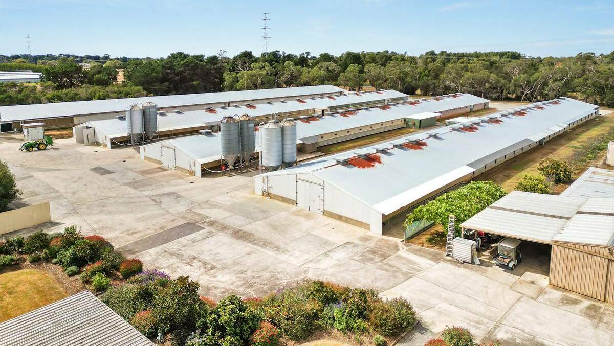 The poultry farm's four shed are currently housing 110,000-120,000 chickens. Video and pictures from YPA Estate Agents.