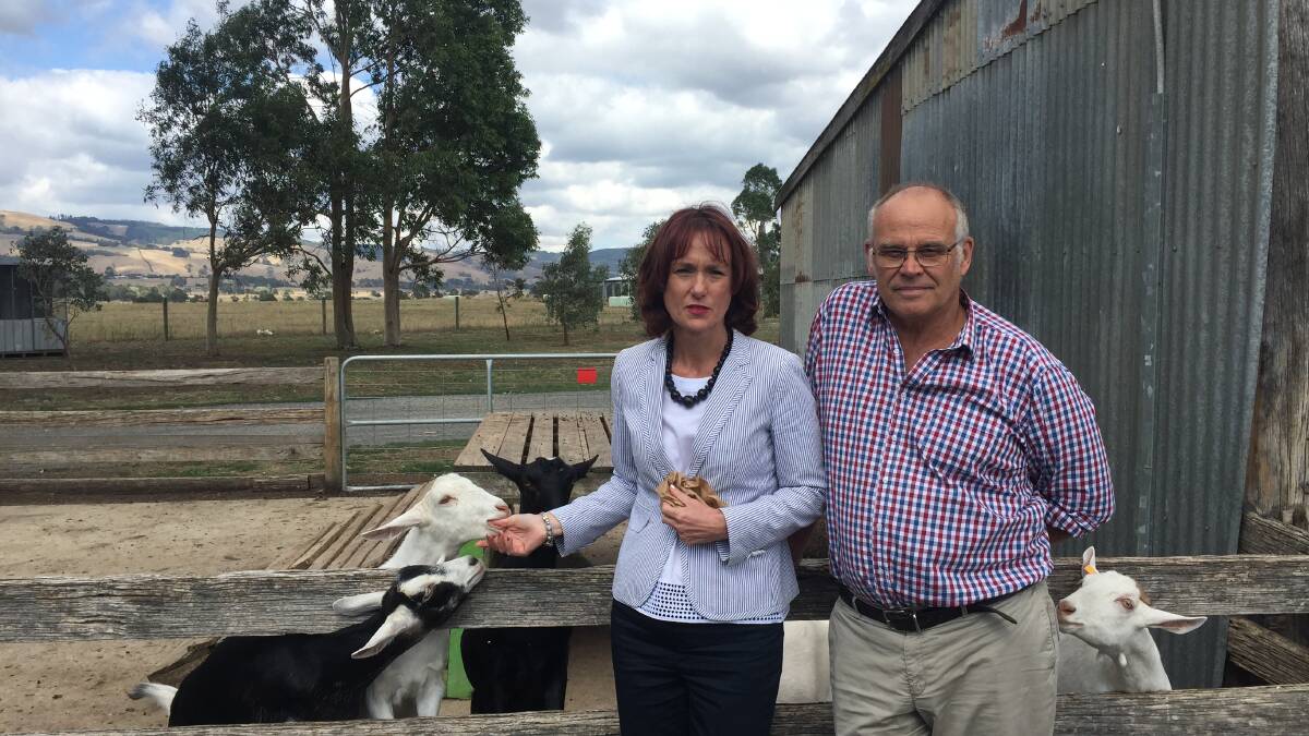 GIPPY GOAT: Eastern Victorian Nationals MP Melina Bath and Gippy Goat's John Gommans at the property at Yarragon , in Gippsland.