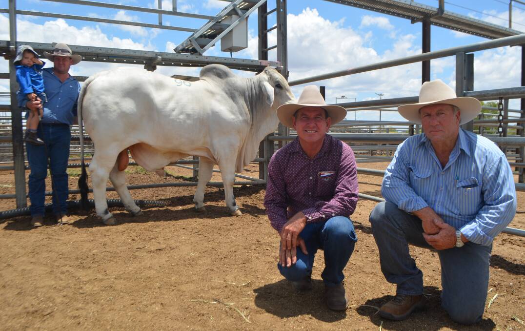 Vendors Arron, Isaac and Lance Pope, Glenborough, Yabulu, with the $13,000 top price bull of the 2015 Gold City Brahman sale Glenborough Rocky Manso (H) and buyer Dave Roberts, Swans Lagoon, Millaroo.