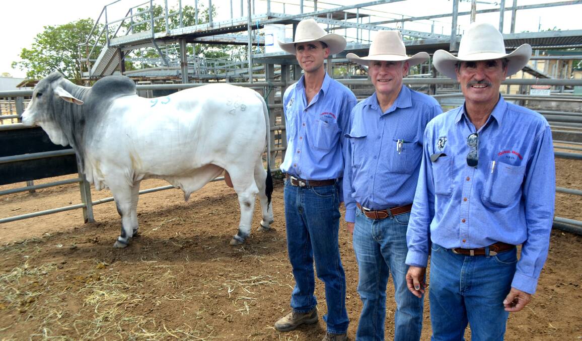 A total of 73 bulls sold for $306,000 averaging $4192 with a clearance of 73 per cent at the Gold City Brahman sale.