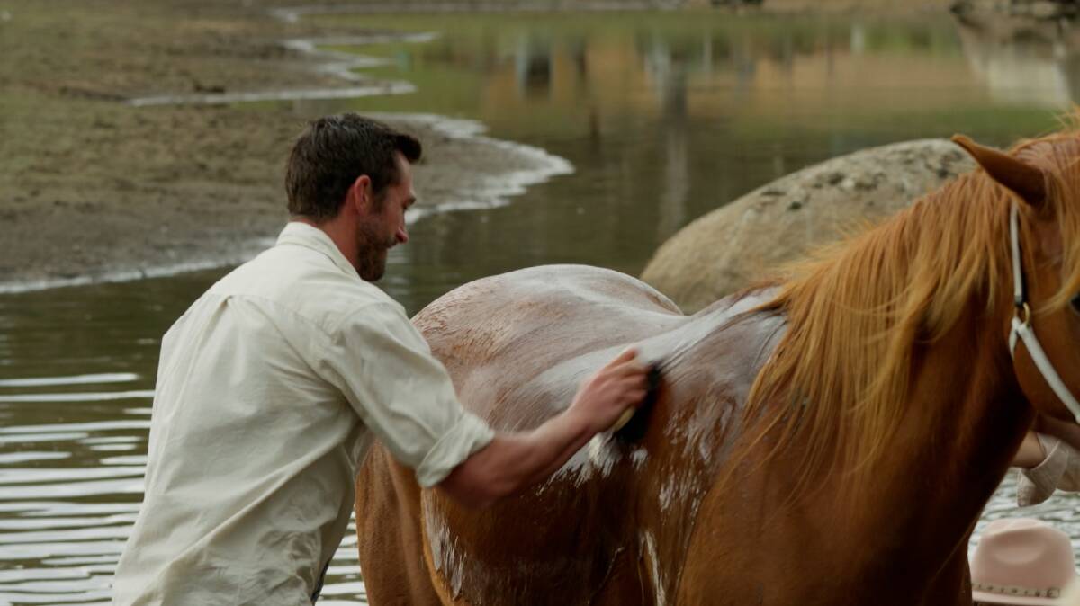 Farmer Joe from Snowy River applies a French polish finish to his horse. Picture supplied