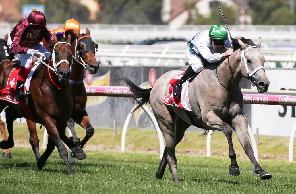 John Allen rides Terbium to victory in the Ladbrokes Zeditave Stakes at Caulfield on Saturday. (AAP Image/George Salpigtidis) 