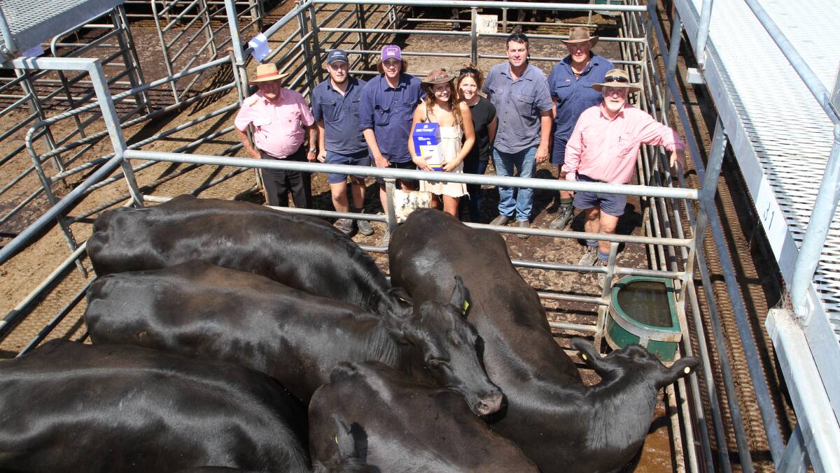 Angus-Friesian PTIC heifer prices reached a top price of $2750 on three occasions at the Elders Boyanup Supreme Springing Heifer Sale last week. With one of the top-priced pens sold by the Jilley family, KL & AJ Jilley, Boyanup, were Doug Slater (left), Elders Bunbury, buyers Andrew Stoddart and Jaymon, Taylor, Kerrie and Kim Dunnet, OM Dunnet & Co, Nannup, vendor Keith Jilley and Elders Capel representative Rob Gibbings. The Dunnets also purchased a second pen of heifers at the $2750 top price from the Roberts family, KS & EN Roberts & Son, Elgin.