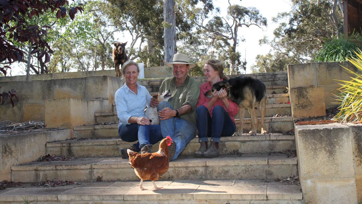 Having shown great dedication to the land and animals for more than 40 years, Katie and Richie Clapin, with their daughters Harriet and Rachael (not pictured) have decided it’s time to start another chapter. They’re pictured relaxing at home with dogs Mitch (left), Selby and Freddy and Louise the chicken – and yes, there once was another chicken named Thelma.