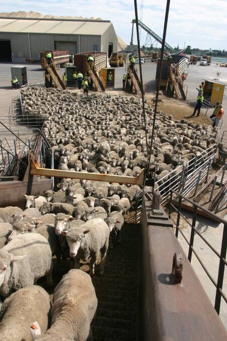 A report into the live export industry highlighted reductions in mortality rates for both sheep and cattle last year.