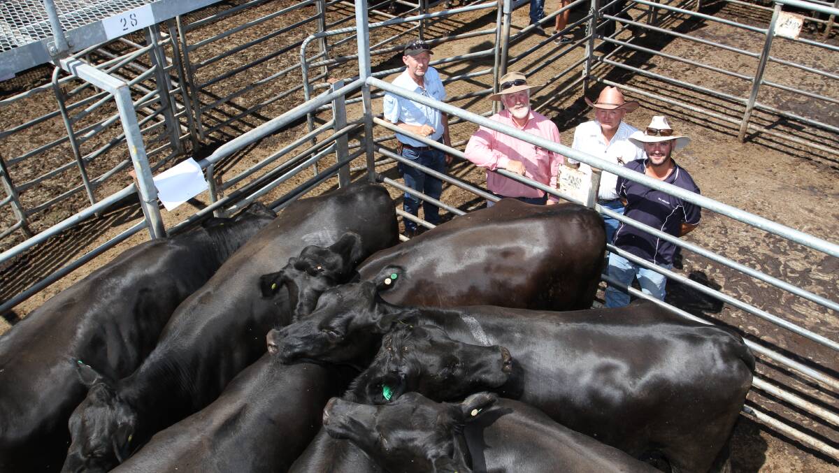 This pen of Angus-Friesian heifers from the Roberts family, KS & EN Roberts & Son, Elgin, sold for the sale's equal $2750 top price when it was knocked down to Glencorrie Farms, Boyanup. With the pen were vendor Michael Roberts (left), Elders Capel representative Rob Gibbings and buyers Stan and Jordan Clemons. The Roberts also sold another pen of Angus-Friesian heifers at the sale's $2750 top price to the day's volume buyers the Dunnet family, OM Dunnet & Co, Nannup.
