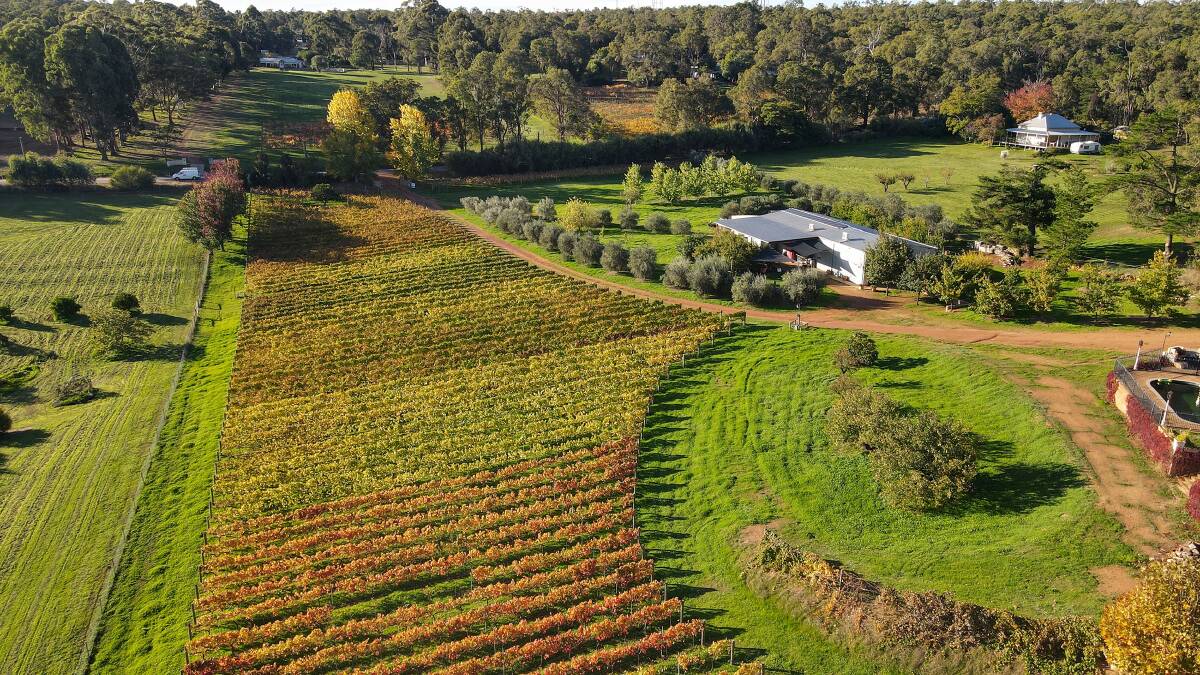 A broad type of wines can be produced in the Perth Hills wine region. Producers along the Darling Scarp have been awarded for their outstanding vintages.
