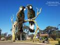 Moora has raised the money needed to construct the big Carnabys Cockatoo sculpture and aims to have it built by the end of 2024.
