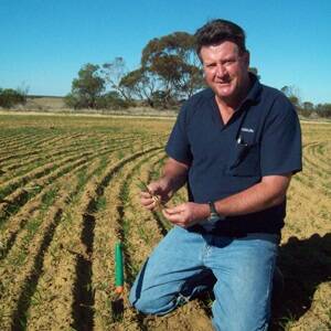 Rod Birch has greatly reduced his weed numbers by continuing to use Integrated Weed Management.