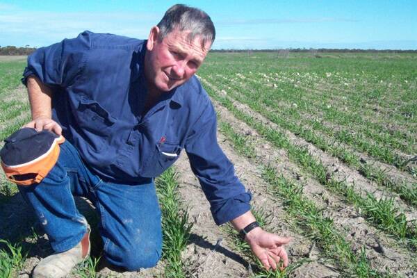 Tom Brown is hoping rainfall data will allow him to better plan the amount of fertiliser applications at planting.