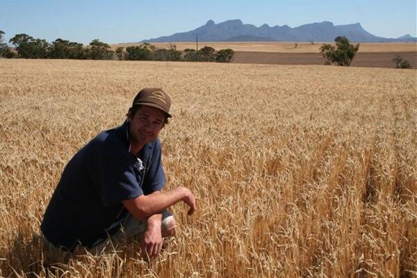 The relatively dry start to the season in most parts had farmers expecting much lower yields compared with last year's data but a small strip of rain which passed through the Borden area at Easter has proven to be the saving grace for farmer Lachy McFarlane.
