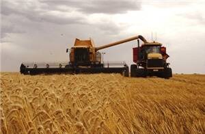 WA labour to help with harvest shortage