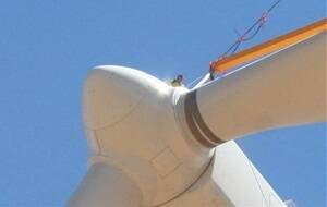 Fearless: A construction worker can be seen atop the turbine, helping move the blades into place.