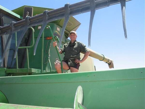 Cunderdin farmer Ian James had to stop harvesting a Carolup oats crop last week because of the late arrival of a road train scheduled to cart contract grain to Perth. "I've filled all the bins and the header is full so there's nothing I can do but wait," he said. "It's a bit frustrating because it's a perfect day for harvesting. The oats are averaging 1.2t/ha here."
