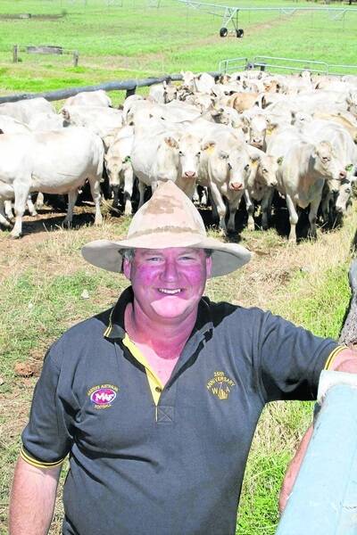 Cattle producer and The Beef Shop owner Kevin Armstrong is tipping record beef prices in WA next year.