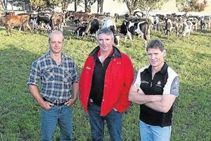 Mark Nicholson, manager of Minhamite House, Elders Warrnambool agent Ken Boyd and truck driver Peter Stanyer, of Barooga, NSW, were there for the delivery of West Australian farmer Kevin Armstrong’s Friesian steers, which are being agisted at Mark and Jodie Nicholson’s Minhamite property.