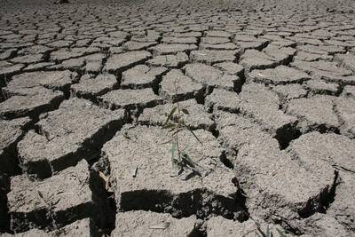Drought reform compounded by horror year