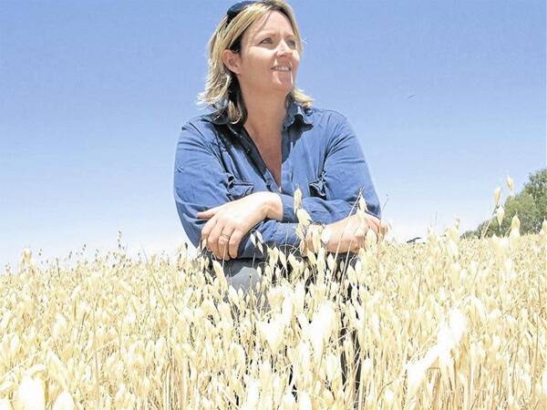 Cunderdin farmer Jodi James surveys a 2t/ha Carolup oats crop that cost $80/ha to establish. The James' didn't cut it for hay and contracted to sell the seed at an on-farm price of $280/t.