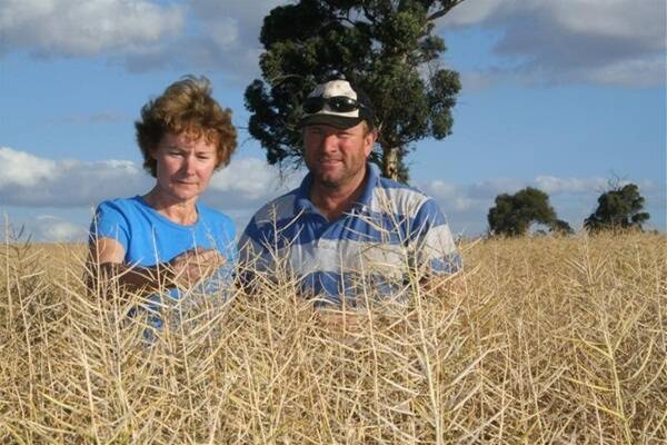 Marylou (left) and Brett Hutchinson check out this year's canola crop.