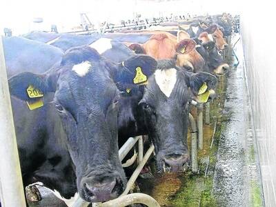 More challenges expected      for WA dairies