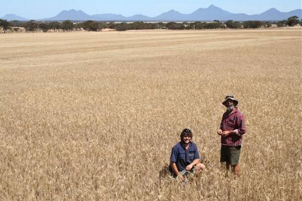 Cadoux and Binnu growers, Leon (left) and Ray Squibb, Tambellup, say mixed messages from WA marketers is what will keep the tonnage of Noodle wheat produced south of Perth to a minimum.