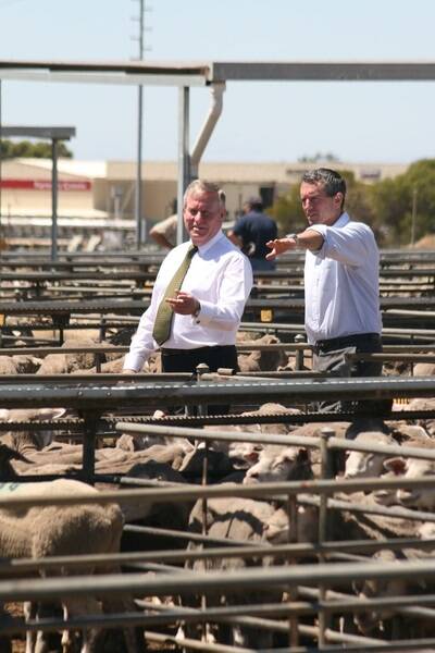 Premier Colin Barnett (left) and Agriculture and Food Minister, Terry Redman, at the Katanning Saleyards last week.