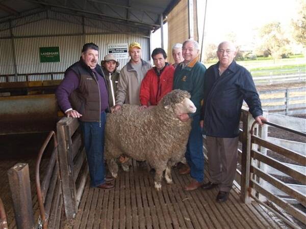 Pictured at Roy and Coral Mahony's ram shed at Narrogin with the Olinda Poll Merino ram recently sashed grand champion medium wool ram at the Australian Sheep and Wool Show, Bendigo, Victoria, were visitors from Argentina.
