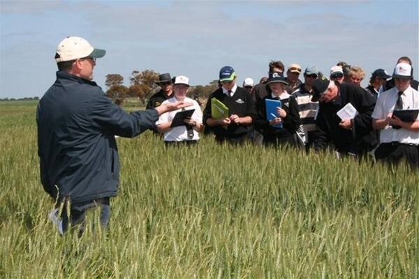 WA No-Tillage Farmers Association executive director David Minkey explained the importance of early seeding and crop competition at the harvest weed seed management trial.