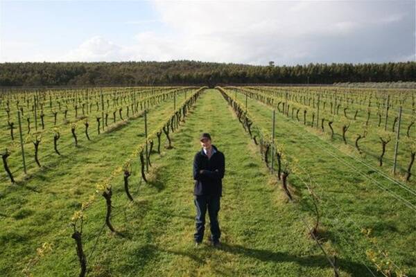 Rohan Thorn among this season's Chardonnay vines at Frankland River Estate.