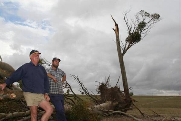 Cunderdin cropping and sheep farmers Dennis (left) and Adam Whisson assess the damage caused by a 'cock-eyed bob' that went through dumping two storm events that dumped up to 65mm on their property north-west of Cunderdin on Thursday afternoon.