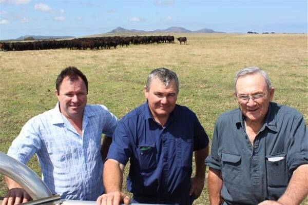 Angus Society WA vice chairman Andrew Kuss (left), with Rodney and John Locke, Esperance, who will supply the Angus heifers for this year's Farm Weekly-WA Angus Society WIN 10 Angus heifers competition.
