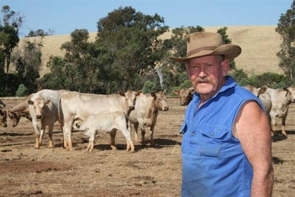 Boddington farmer Ray Farmer made the switch to Murray Greys in 1972 and has remained a loyal advocate for the breed ever since.