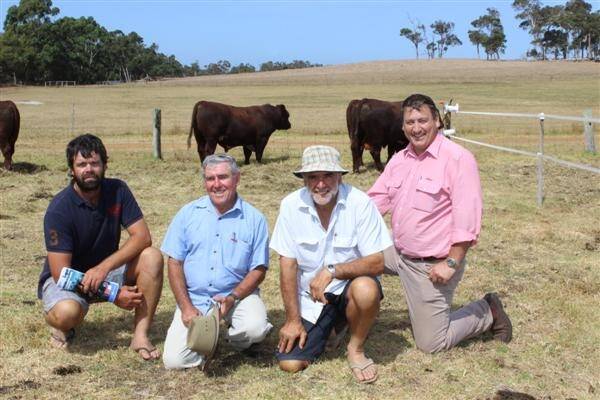 With the $5000 top-priced Narralda Shorthorn bull was Matthew Della Gola (left), Northcliffe, Narralda stud principal Alex Burrow, John Della Gola, who purchased one of the all-round exceptional sires and Elders stud stock manager Tim Spicer.
