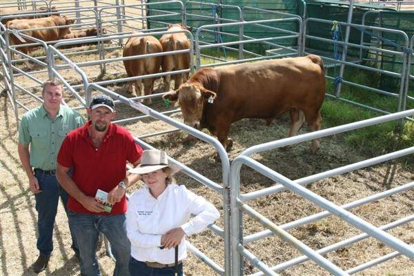 With Summit Eastern Star G114, the $5500 top-priced bull at the fifth annual Summit Gelbvieh on-property production sale at Narrikup on Monday were Dave Brown (left), Landmark Albany, buyer Darren Jenke, property manager, Garrison Cattle Feeders, Swan Hill, Victoria and Alexandra Pugh, Summit stud.