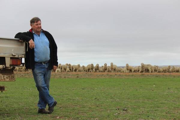 Lake Grace farmer Bill Willcocks has always leaned toward the sheep side of his operation.