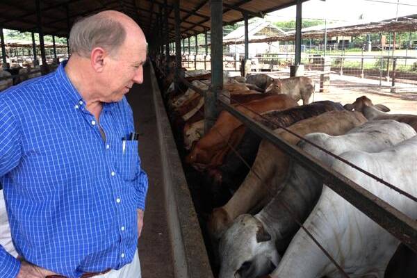 WA Agriculture and Food Minister Ken Baston in Lampung, Indonesia, viewing WA cattle held in an Elders-owned cattleyard.