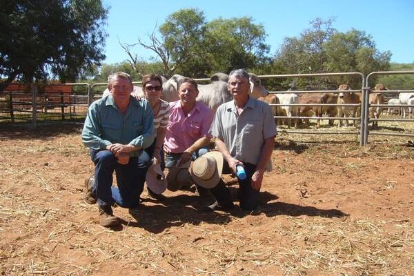 With the three $2900 top-priced Charlesville bulls at last week's WALSA Broome Bos Indicus Bull Sale were Charlesville stud principal John Wesley (left), Southern Cross, Theresa Preston, Elders Broome and Derby livestock manager Kelvin Hancey and Grant Wardle, Christmas Creek station, Fitzroy Crossing.