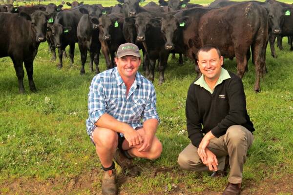 With the line of Angus-Friesian steers, Laureldene Farms, Boyanup, are vendor Dwayne Neill (left) and Landmark South West livestock manager Darren Chatley.