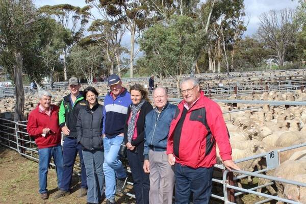 The genuine dispersal of the Rogers family's commercial flock saw prices top at $102 for a line of 2.5yo ewes, purchased by Landmark Corrigin agent Tony Douglass on behalf of an undisclosed buyer. Assisting on the day was Elders Kellerberrin agent Adrian Gamble (left), Todd Rogers, Tammin, Terri Rogers, Guildford, Kim Rogers, Tammin, vendor Mary Jane Rogers, Quairading, Allan Rogers, Cunderdin and