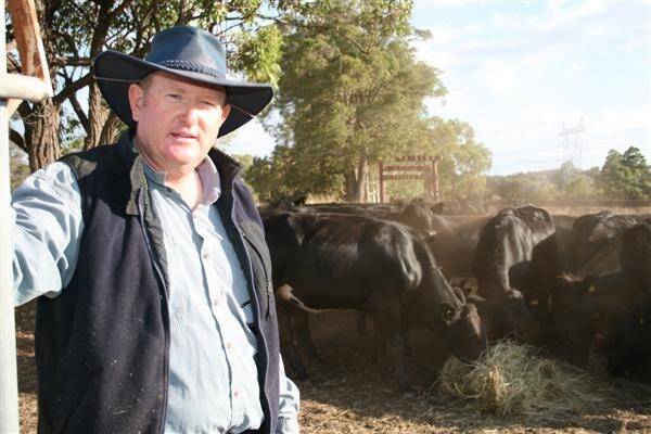 HARVEY cattle farmer Garry Craigie said the proposed animal welfare standards and guidelines were a little concerning for cattle producers. He said it was just another thing farmers had to worry about. "It is like we have a big stick waving over our heads wondering if it's going to hit us or not," Mr Craigie said.